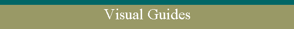 Visual Guides