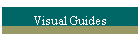 Visual Guides