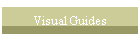 Visual Guides